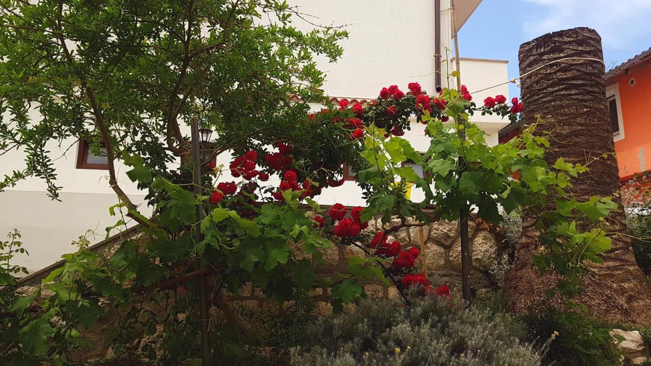 Guest House Galeb2 Супетарска-Драга Экстерьер фото